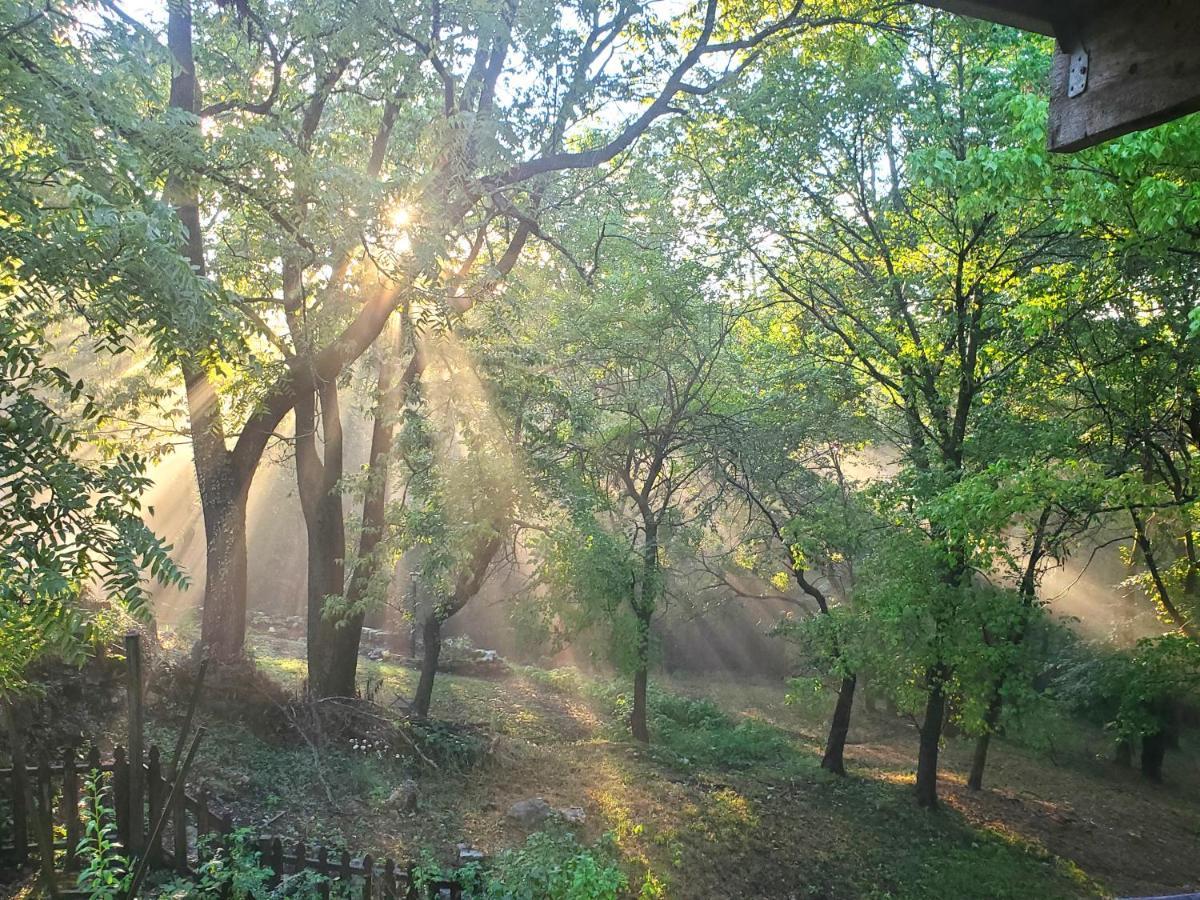 5 Ojo Inn Bed And Breakfast Юрика Спрингс Экстерьер фото